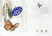 حس غریب پروانگی