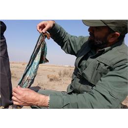 سردار باقرزاده:کشف پیکر مطهر ۴ شهید دوران دفاع مقدس+عکس