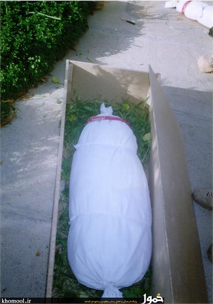 معراج الشهدا