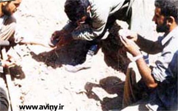 شهید علی محمودوند