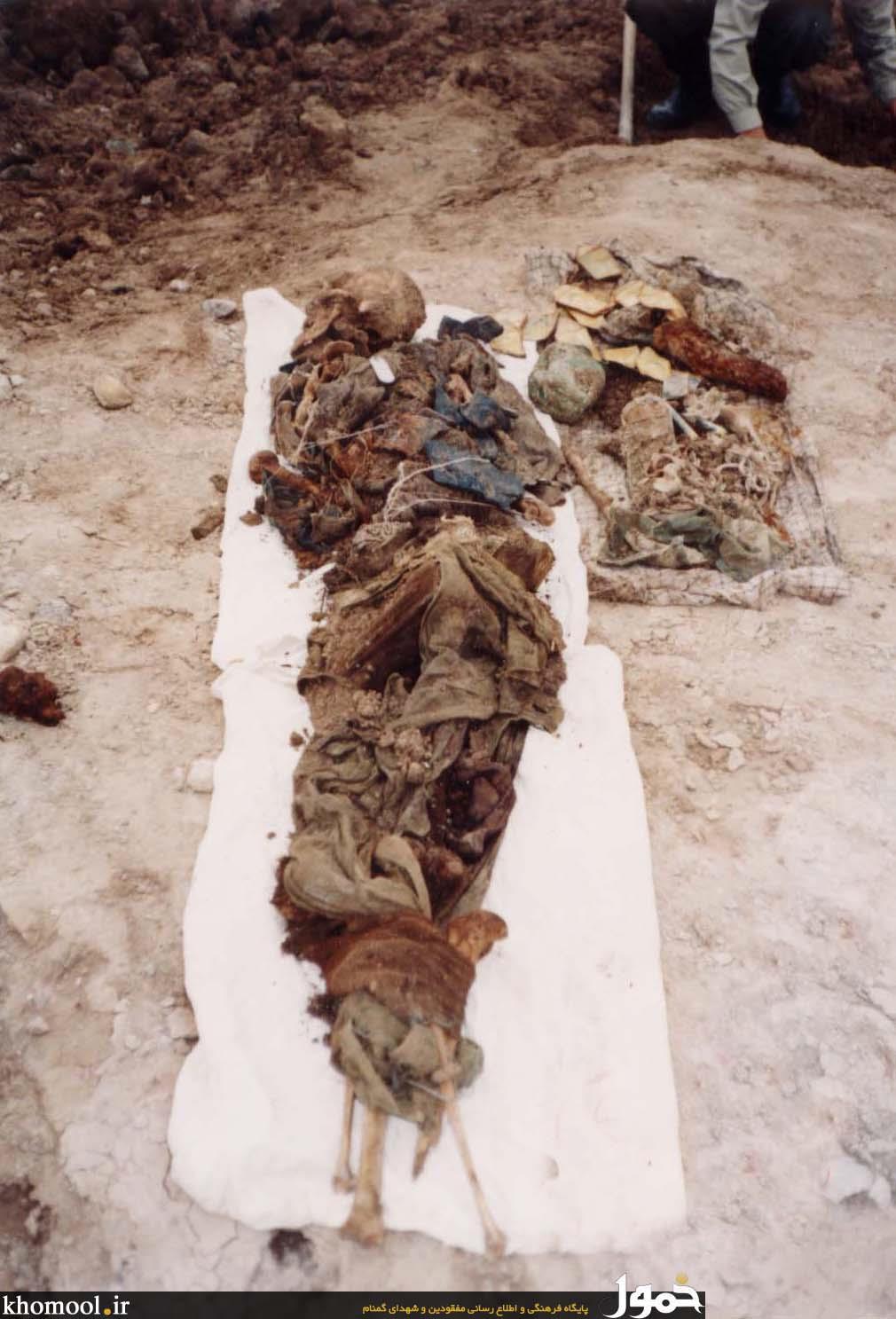 پیکرهای مطهر