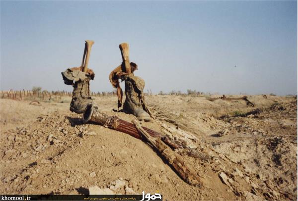 پیکرهای مطهر