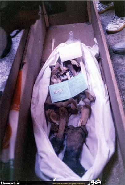 پیکرهای مطهر