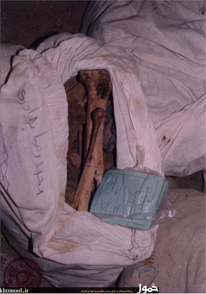 پیکرهای مطهر