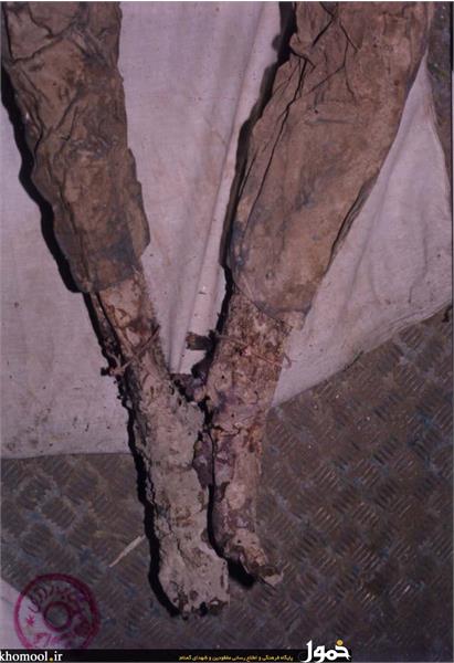 پیکرهای مطهر