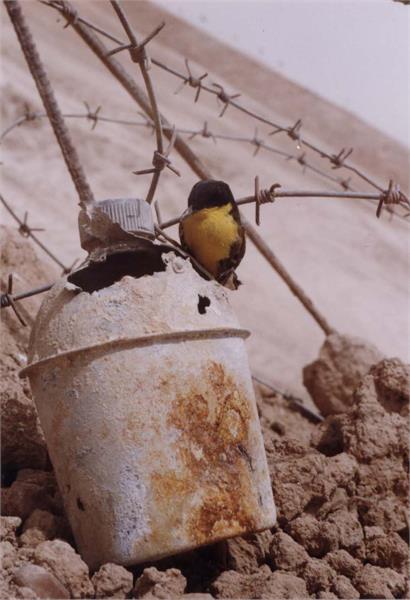 آثار باقیمانده