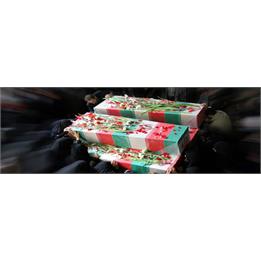 ۱۳ مهرماه؛ ورود پیکر مطهر ۱۱۹ شهید دفاع مقدس به کشور