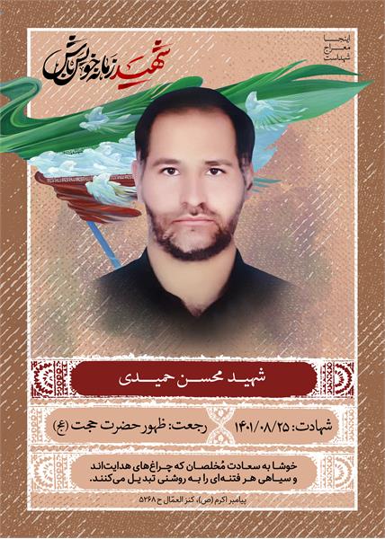 شهید محسن حمیدی