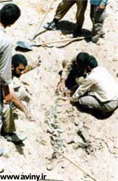 شهید علی محمودوند