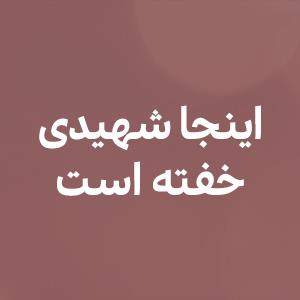 اینجا شهیدى خفته است