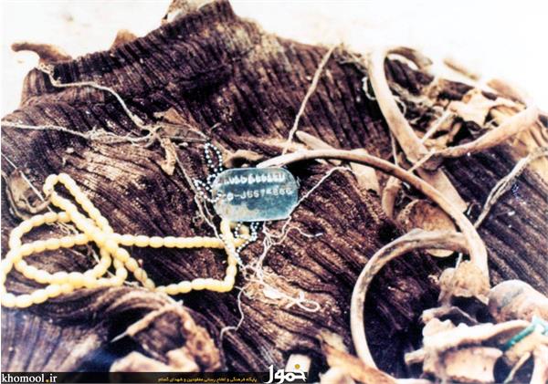 پیکرهای مطهر