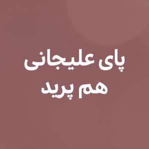 پاى علیجانى هم پرید
