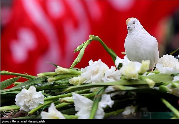 تشییع پیکر ۵ شهید گمنام دوران دفاع مقدس در تهران 19
