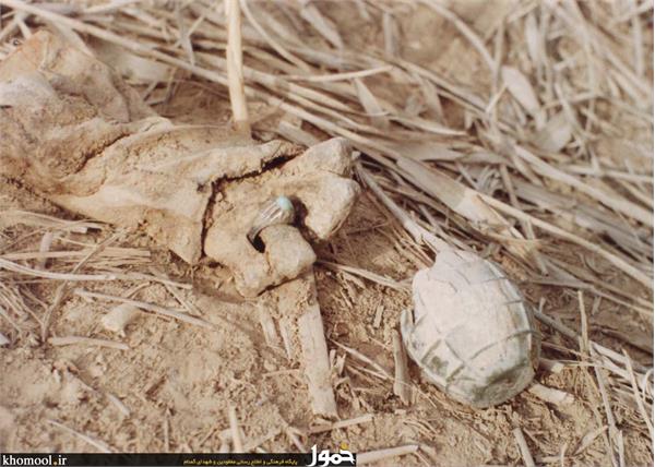 پیکرهای مطهر