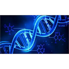 اطلاعیه کمیته جستجوی مفقودین پیرامون نمونه برداری دی ان ای از شهدا