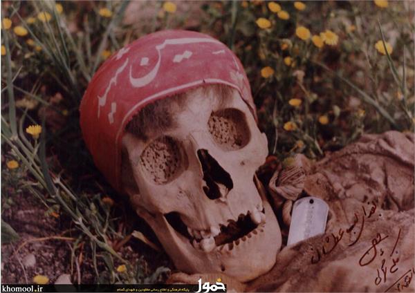 پیکرهای مطهر