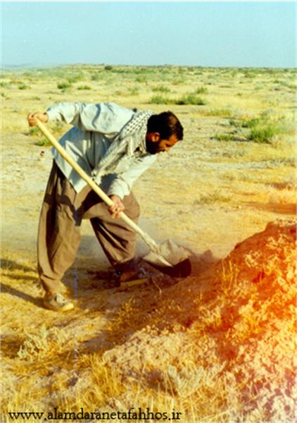 شهید مجید پازوکی