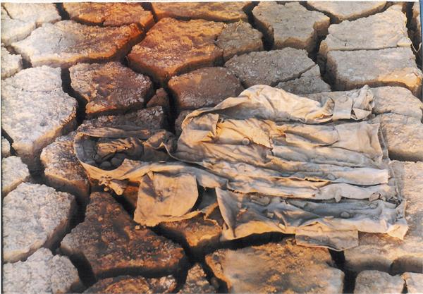 پیکرهای مطهر