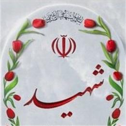 پدر سبک شده بودم