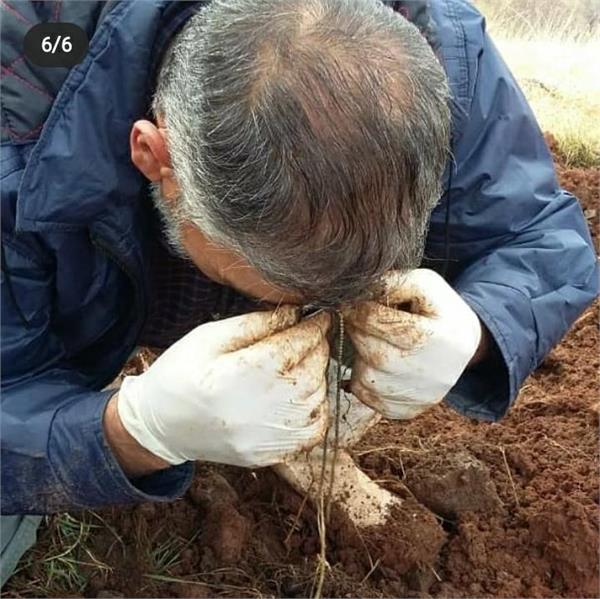 شهید حاج محمود توکلی 1