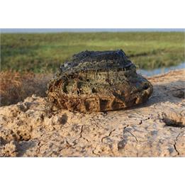 انفجار مین ضدتانک حین عملیات تفحص پیکر مطهر شهدا