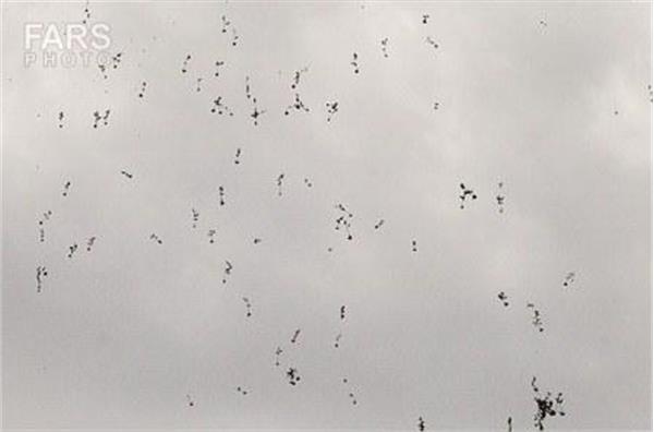 مراسم تشیییع پیکر دو شهید گمنام در شهر قدس