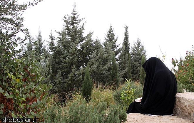 گزارش تصویری/مراسم دعای عرفه-تپه نورالشهدا شیراز