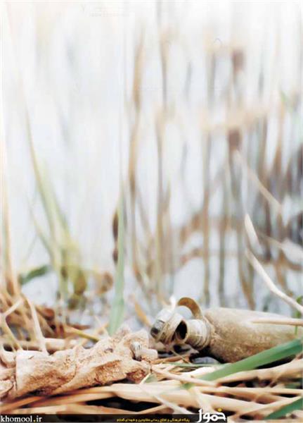 پیکرهای مطهر