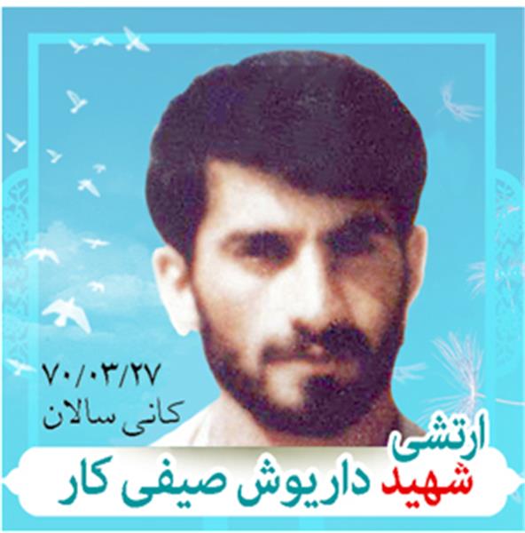 شهید داریوش سیفی کار