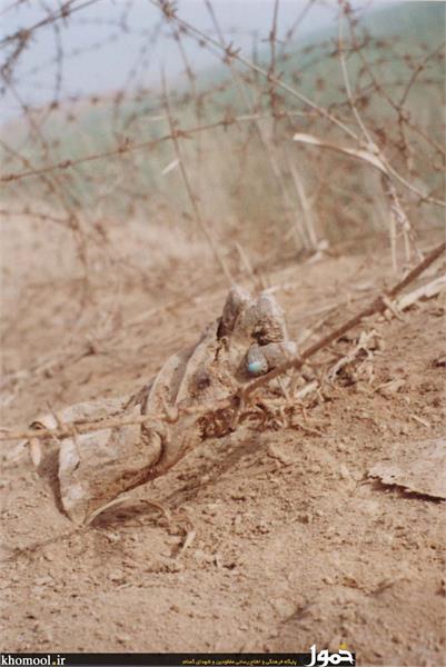 پیکرهای مطهر