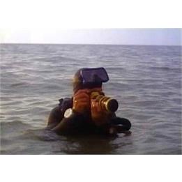 روایتی نوستالژیک از غواصان شهید: از این عشق بمیرید