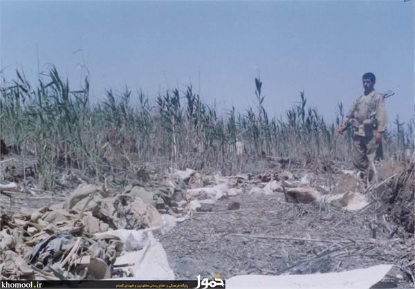 پیکرهای مطهر