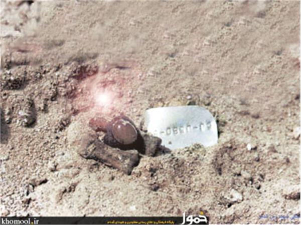 پیکرهای مطهر