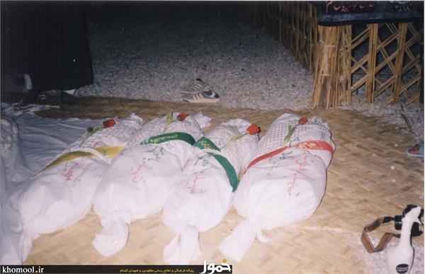 پیکرهای مطهر