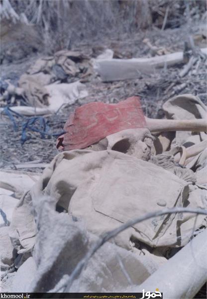 پیکرهای مطهر