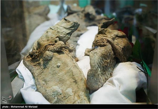 پیکر یکی از 175 غواص شهید عملیات کربلای 4 5