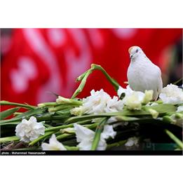 ستایش از تفحص و کاروان شهدا