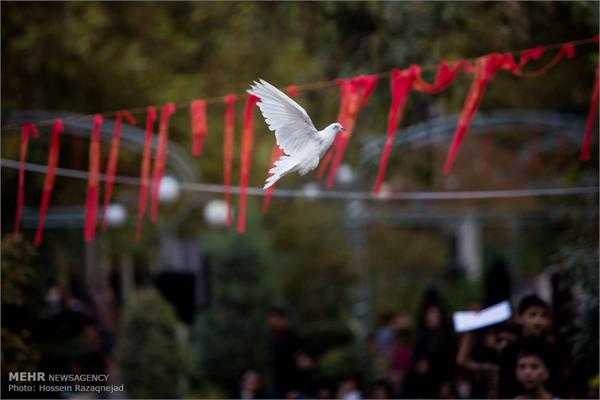 تشییع دو شهید گمنام در بوستان زمزم تهران 18