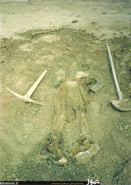 پیکرهای مطهر