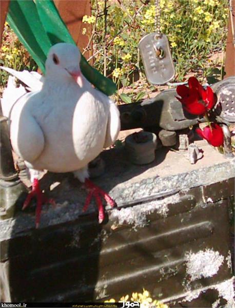 آثار باقیمانده