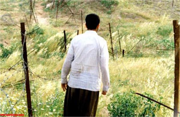 شهید مجید پازوکی