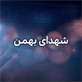 شهدای بهمن