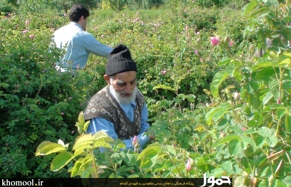 شهدای گمنام روستای کمال الملک کاشان